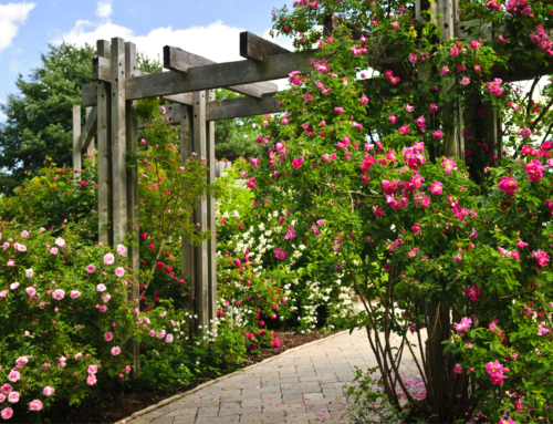 How to Design a Garden Transformation in the Cotswolds that’s both Beautiful and Practical